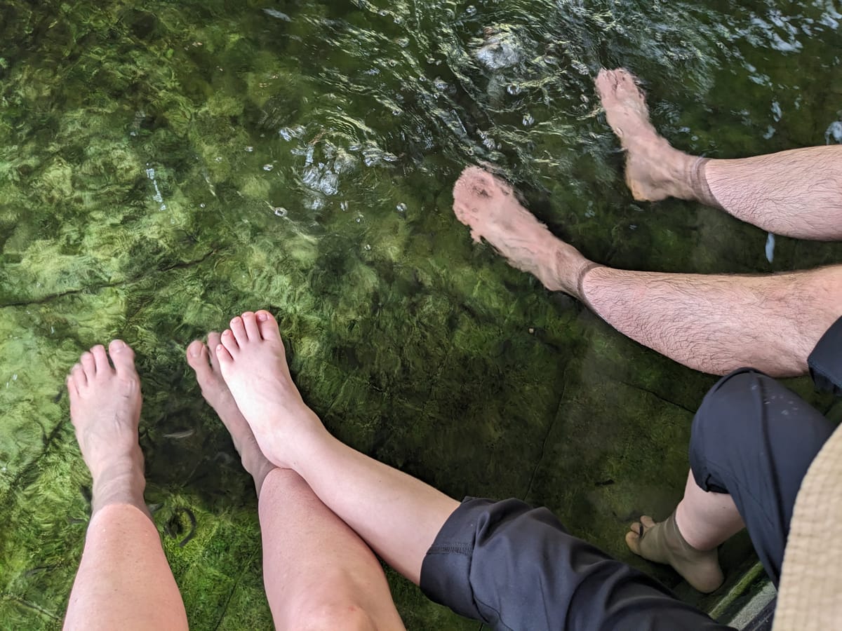 Fish spa!