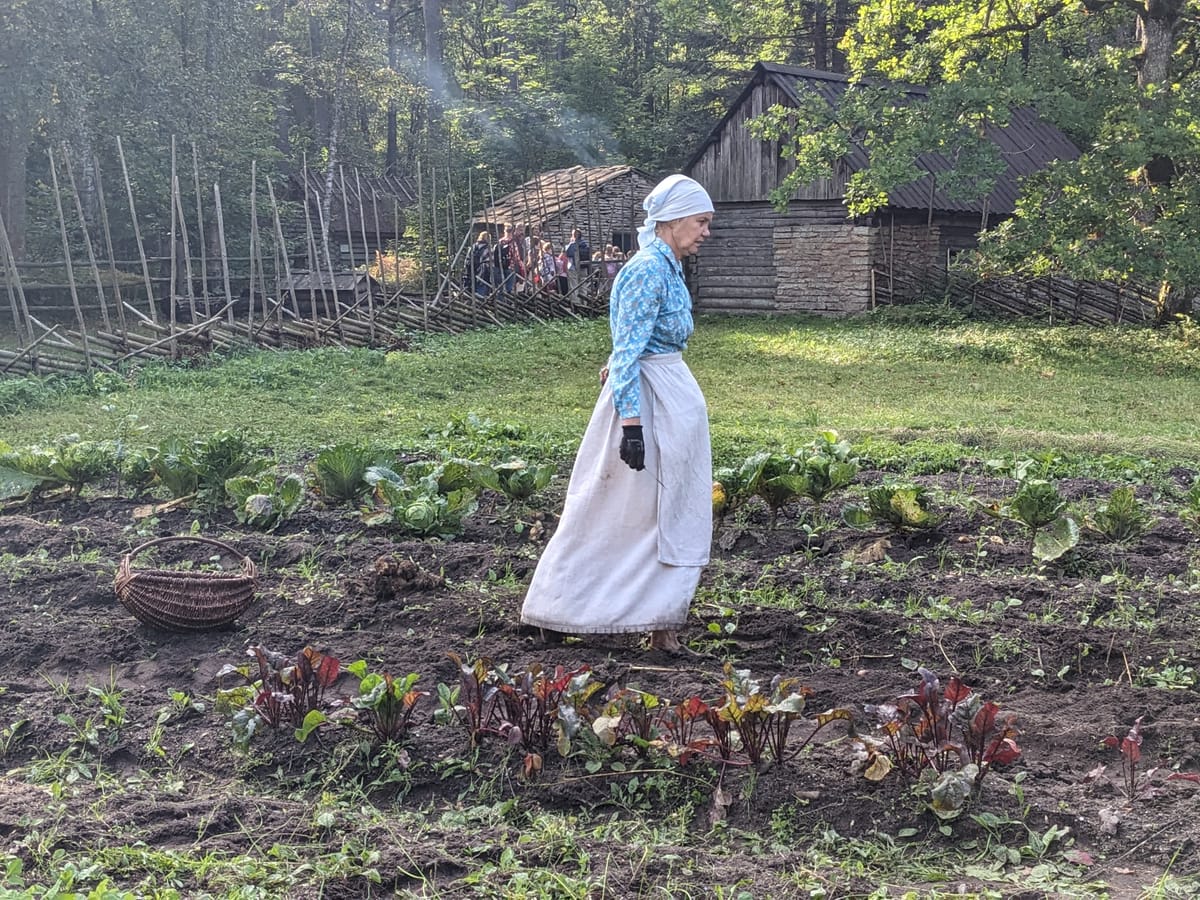 Estonian Open Air Museum