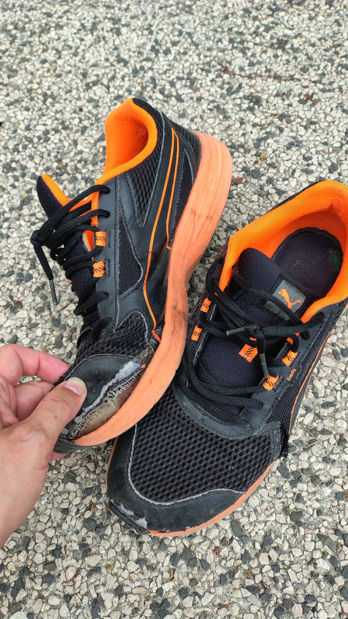 Goodbye shoes