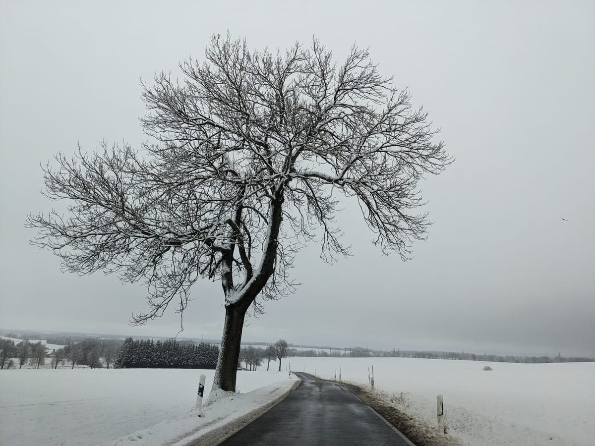 Snowing!!