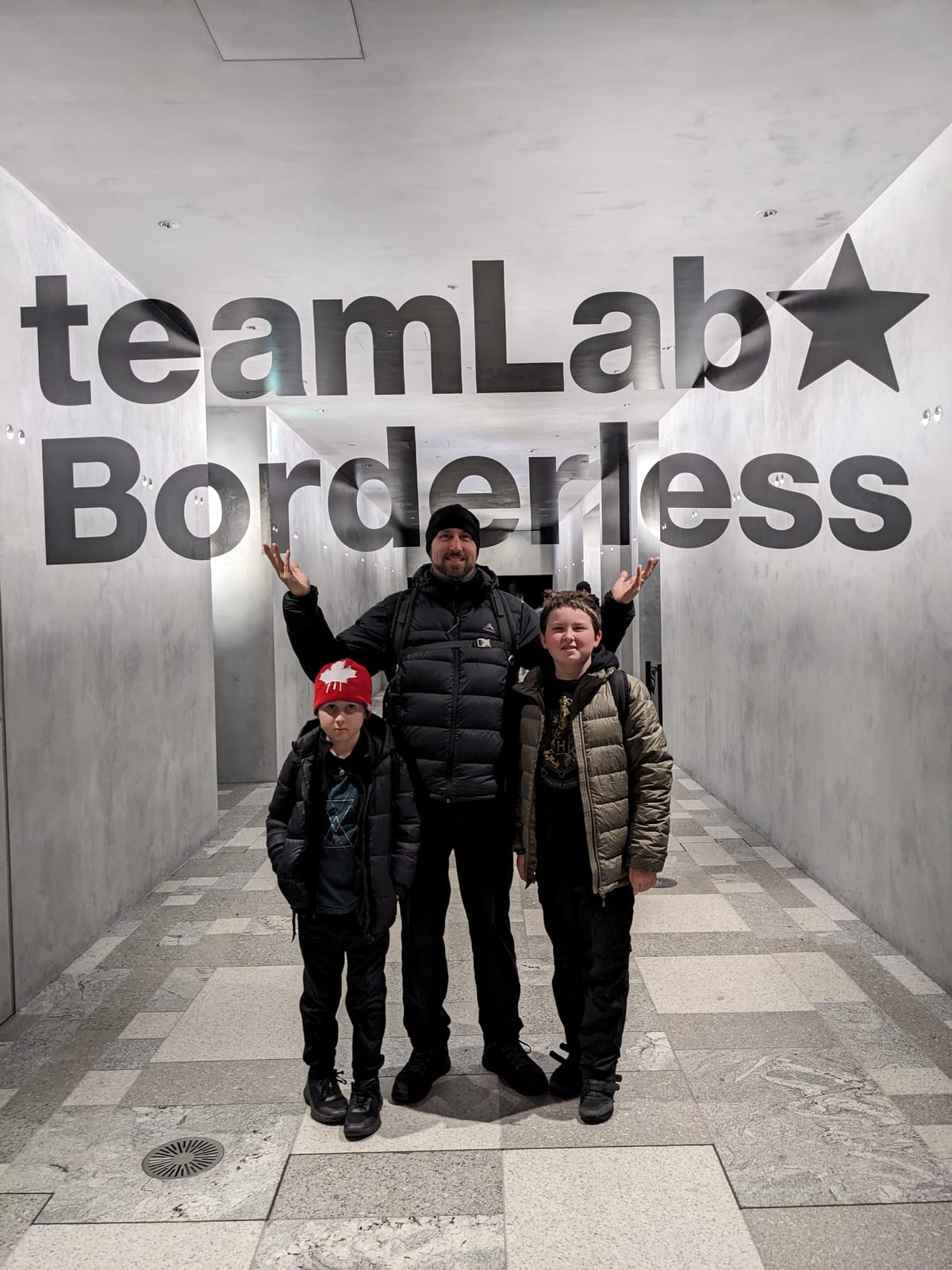 TeamLab Borderless