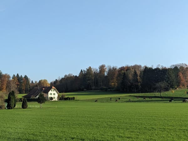 Arrival in Switzerland