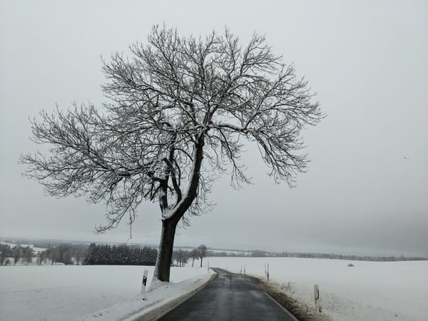 Snowing!!